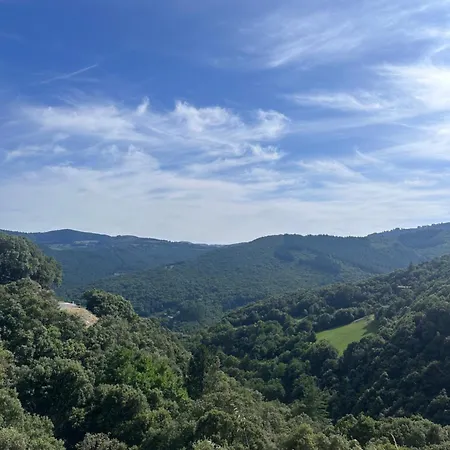 Mas Cevenol Bord De Riviere Piscine Naturelle Holiday home Gabriac (Lozere)